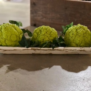 Concrete Hedge Apples with Dough Bowl Home Decor Hedge Apple / Osage Orange / Horse Apple / Monkey Ball/Hedge Ball/Pomifera Hand Crafted USA