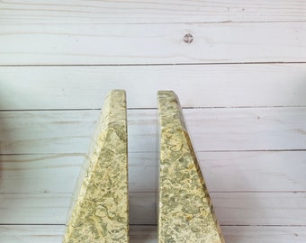 Vintage Fossil Bookends- Stone Bookends