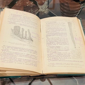 May include: An open vintage book with a detailed illustration of a biological specimen. The text on the page discusses the structure and function of the specimen. The book is open to a page with the title "Territoire musculaire".
