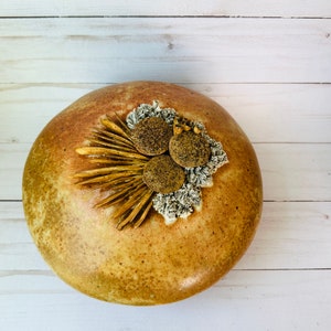 Puede incluir: Una tapa redonda de cerámica marrón con un diseño decorativo de flores y hojas secas. La tapa tiene un esmalte marrón moteado y una textura rugosa.
