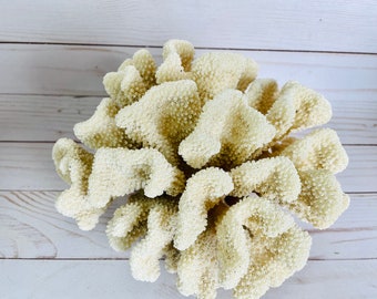 Natural Coral Specimen