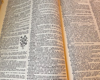 1965 Webster's Seventh New Collegiate Dictionary--vintage Webster Dictionary