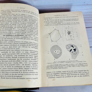 May include: A vintage book open to a page about the cell, with black and white illustrations of cells and their structures. The text on the page is in French and discusses the history of cell theory and the work of scientists like Schleiden and Schwann.