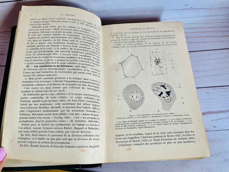 May include: A vintage book open to a page about the cell, with black and white illustrations of cells and their structures. The text on the page is in French and discusses the history of cell theory and the work of scientists like Schleiden and Schwann.
