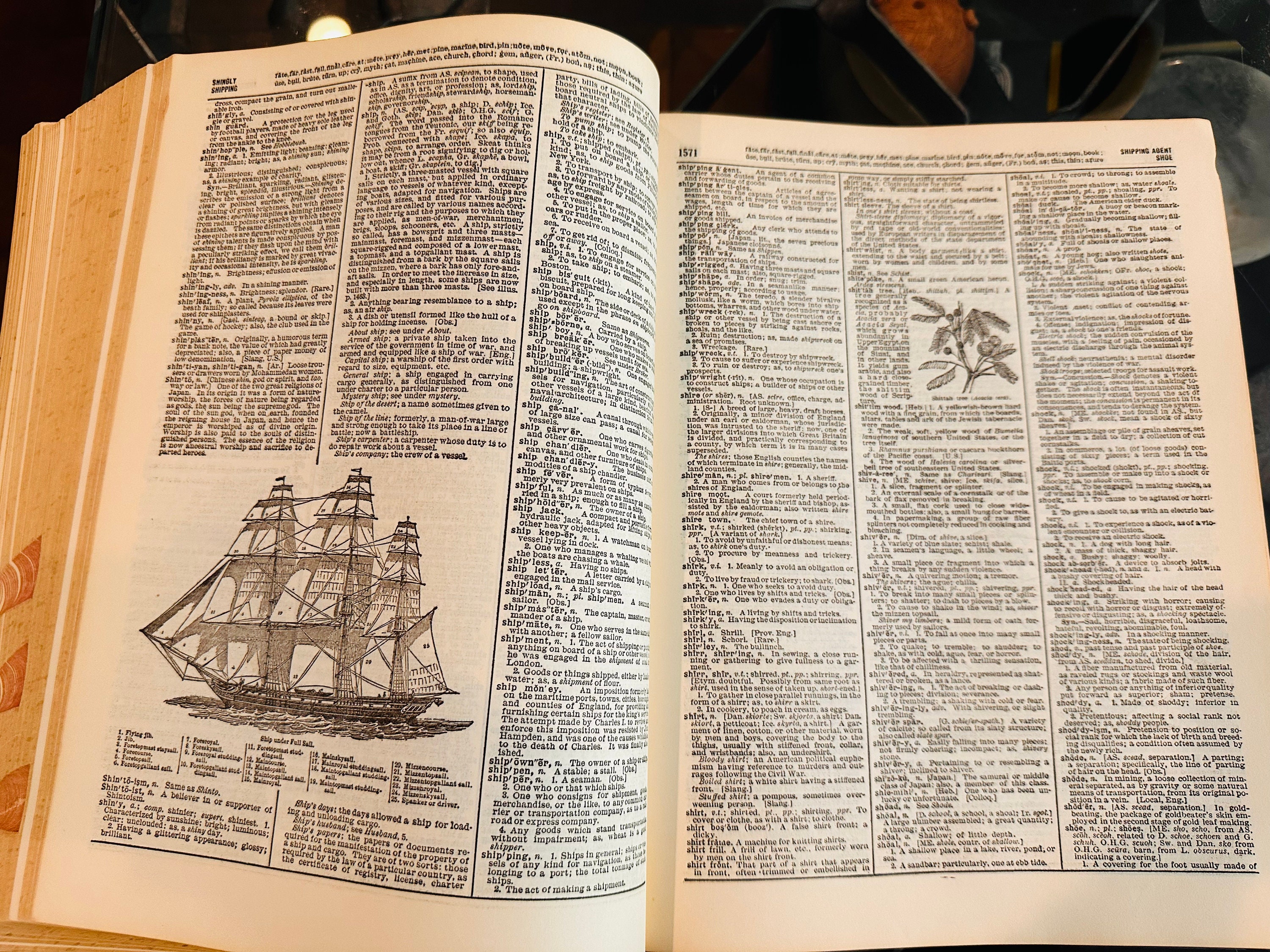 1954 Webster's New Twentieth Century Dictionary Unabridged - Etsy