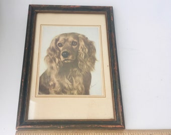 Vintage Framed Photo Of A Cavalier King Charles