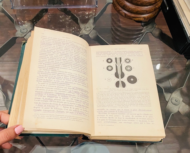 May include: An open book with a diagram of a human nerve cell. The book is titled "La Fibre Nerveuse" and is written in French. The text describes the structure of the nerve cell and its function.