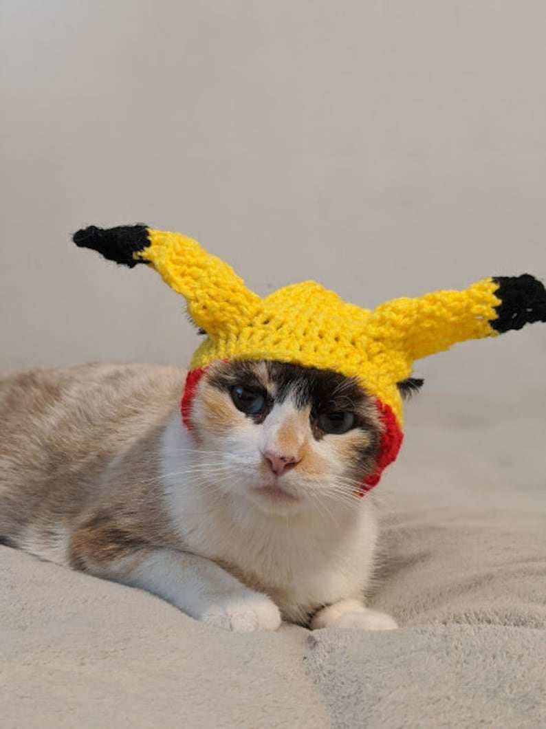 Katze Hut Katze Mütze Katze Cosplay benutzerdefinierte Etsy