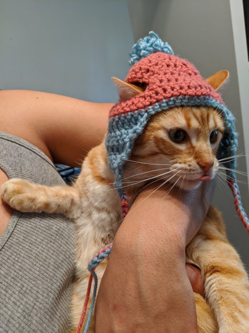 Cat Hat Cat Beanie Cat Cosplay Custom Cat Beanie Beanie Etsy