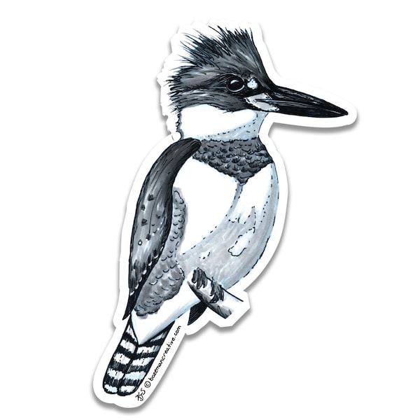 Kingfisher Sketch Sticker