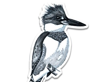 Kingfisher Sketch Sticker