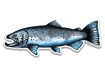 Brown Trout Sketch Sticker