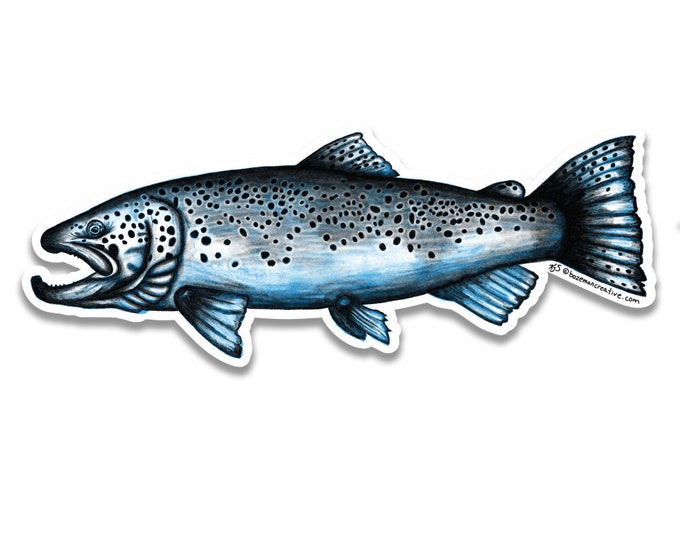 Brown Trout Sketch Sticker
