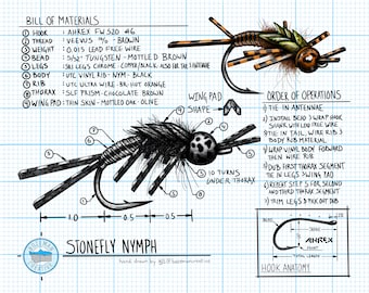Technical Engineering Stonefly Nymph (8" x 10")