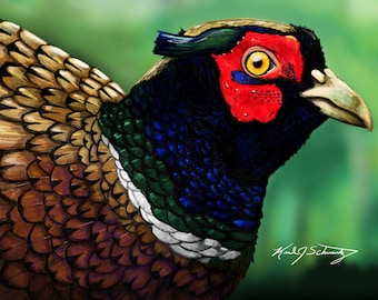 Pheasant Drawing (5" x 7")