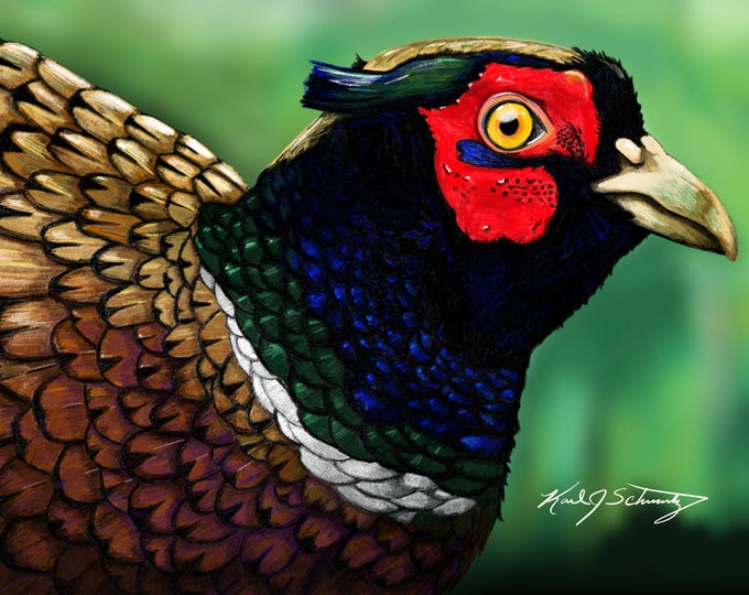 Pheasant Drawing (5" x 7")