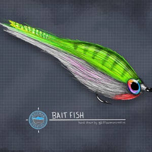 Bait Fish Fly - Fly Fishing Fly