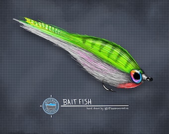 Bait Fish Fly - Fly Fishing Fly