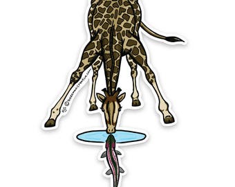 Trout Curious Giraffe Sticker