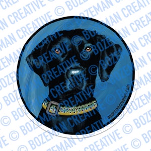 以下が含まれることがあります： 青い背景に、黄色と青の模様の首輪をした黒いラブラドールレトリバー。