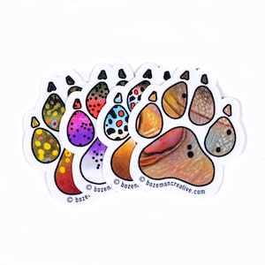 Fishing Buddy - Dog Paw Print - Trout Sticker