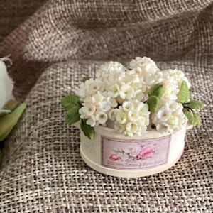 Miniatur-Blumenarrangement mit weißen Hortensien