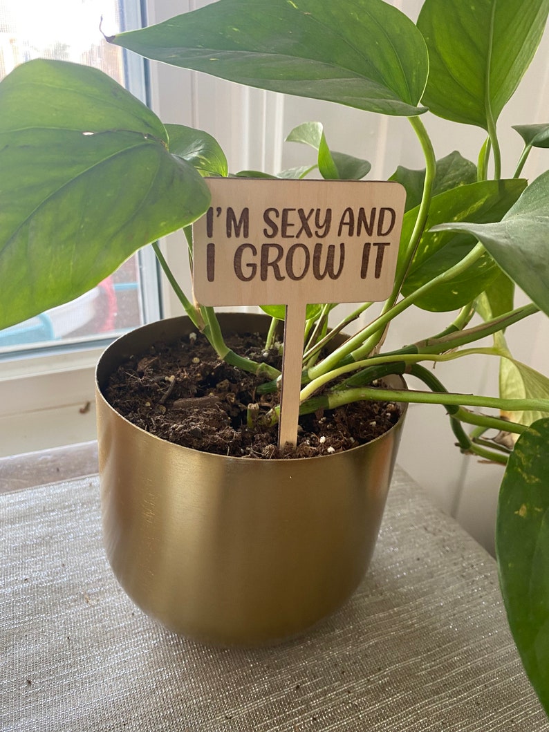 Punny Plant Markers Wood Plant Stakes Engraved Plant Stakes Etsy