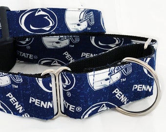 Penn State! We Are!- Handmade MARTINGALE or BUCKLE dog collar