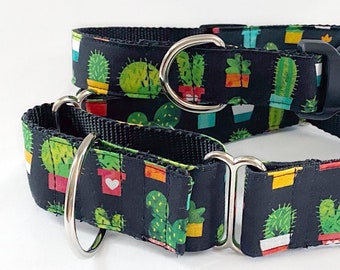 Potted Cactus Plants! - Handmade MARTINGALE or BUCKLE dog collar