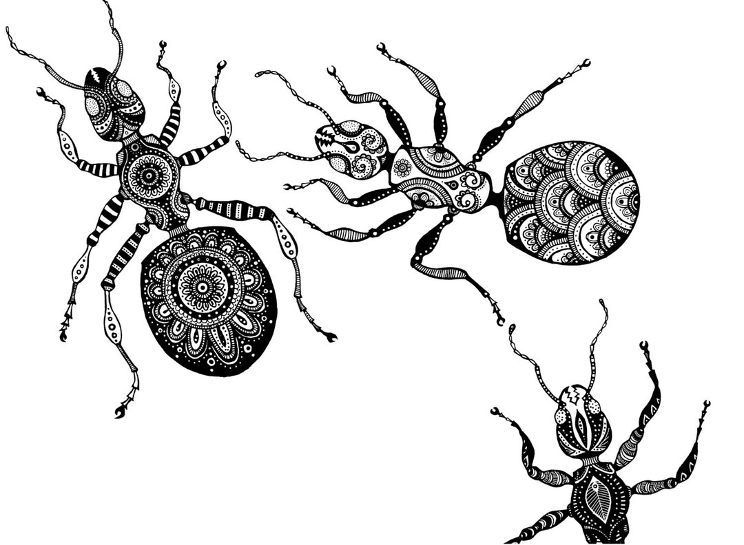 3 Ants Print - A3 (29.7x42cm) or A4 (42x 29.7cm) - Etsy