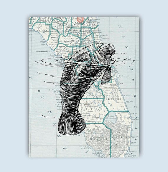 Manatee Florida Map Art Print, Coastal Marine Decor