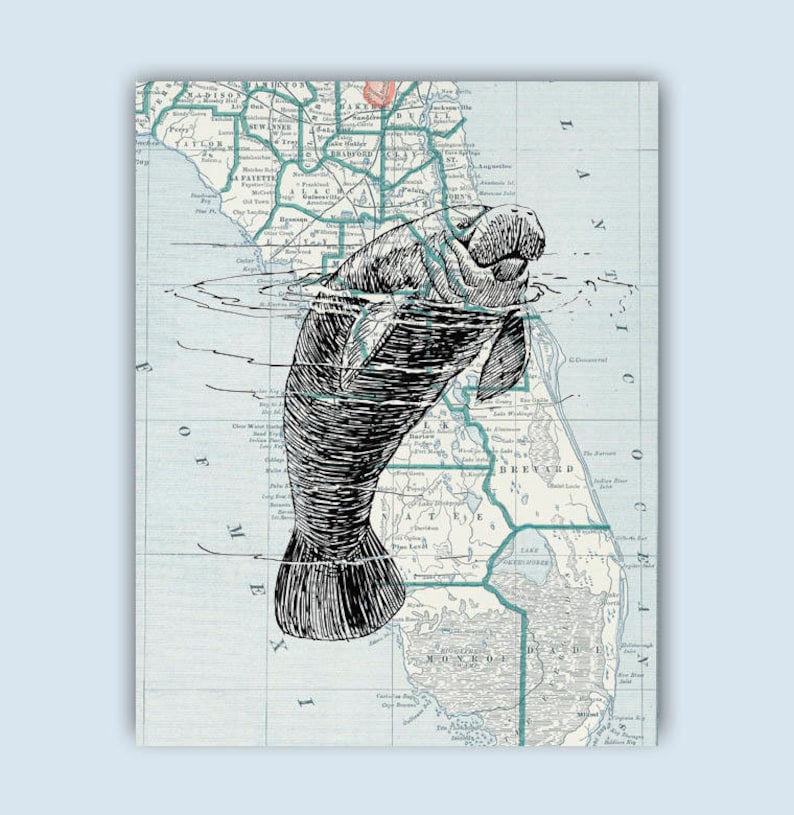 Manatee poster, Nautical poster, Manatee art, Florida Map art, marine decor wall, beach cottage art, Manatee Florida coastal art image 1