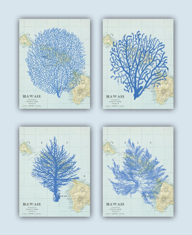 Sea Fan Art Coral Sea fans Seaweed Collage Hawaii map Etsy