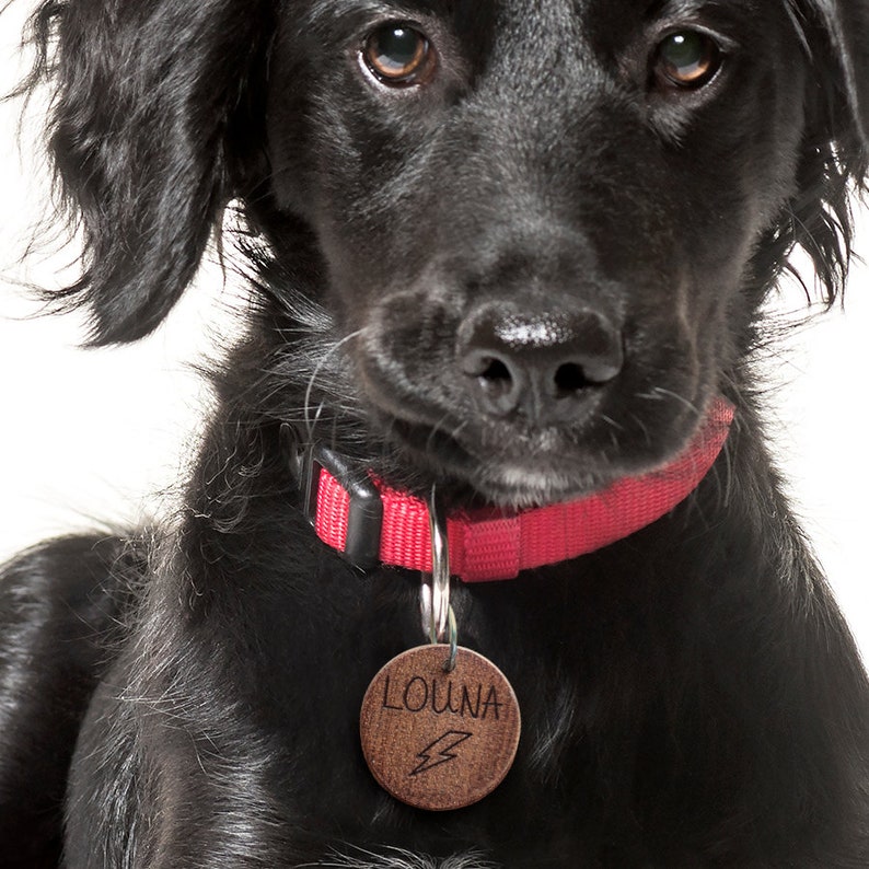 Médaille chien personnalisée bois de noisetier ou acajou, avec gravure nom et motif, médaille pour chiot unique Acajou