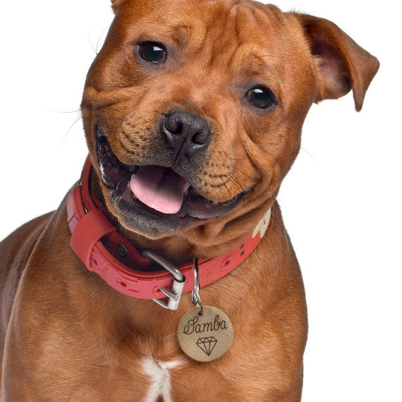 Médaillon pour chien personnalisé en bois
