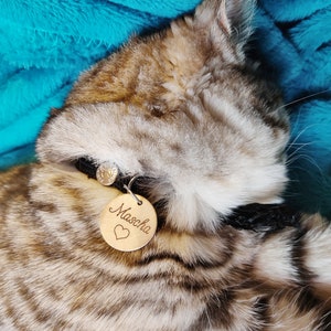 Personalized cat medal in mahogany, hazel wood, with engraved name and pattern, medal for unique kitten image 10