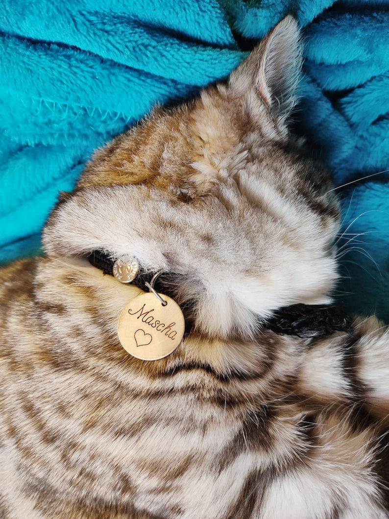 Personalized cat medal in mahogany, hazel wood, with engraved name and pattern, medal for unique kitten image 10