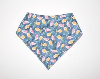Reversible Dog Bandana Snap Closure Bandana Chilly Dogs