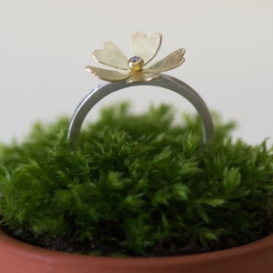 Primrose ring gold with diamond