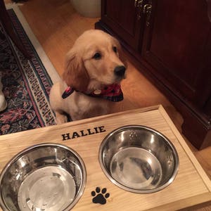 Pet Bowl Holder