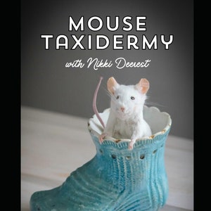 Mouse Taxidermy Manual with Nikki Deerest zdjęcie 1