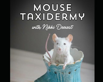 Mouse Taxidermy Manual with Nikki Deerest