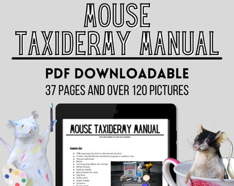 Mouse Taxidermy Download Book Manual Pdf