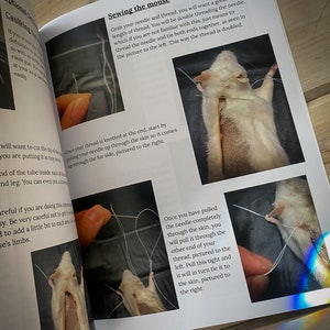 Mouse Taxidermy Manual with Nikki Deerest zdjęcie 4