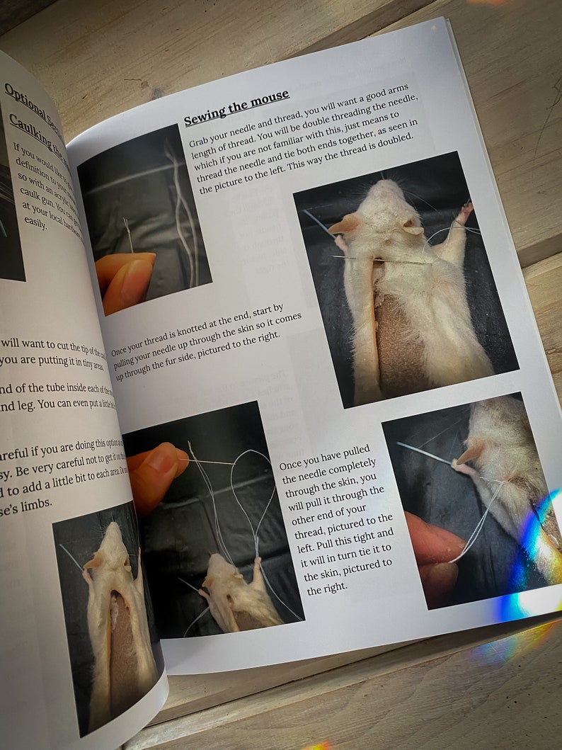 Mouse Taxidermy Manual with Nikki Deerest zdjęcie 4