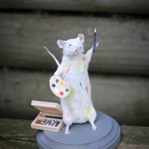Mouse Taxidermy Download Book Manual Pdf image 3