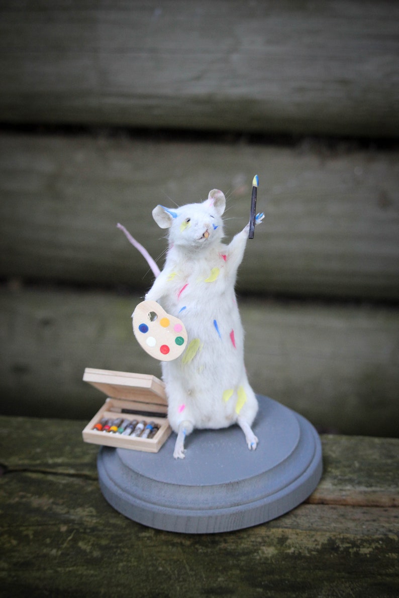 Mouse Taxidermy Download Book Manual Pdf image 3