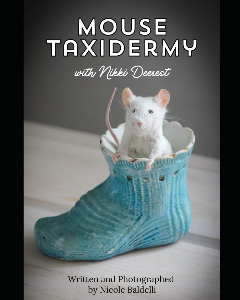 Mouse Taxidermy Manual with Nikki Deerest zdjęcie 1
