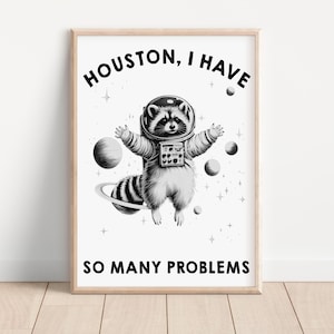 May include: A framed wall art print featuring a black and white illustration of a raccoon wearing a space suit and helmet, floating among planets and stars. The text HOUSTON, I HAVE SO MANY PROBLEMS is printed in black capital letters.