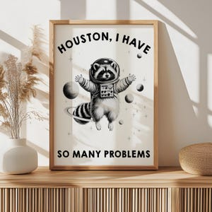 May include: A framed wall art print featuring a black and white illustration of a raccoon wearing a space suit and helmet, floating among planets and stars. The text reads HOUSTON, I HAVE SO MANY PROBLEMS in bold black capital letters.